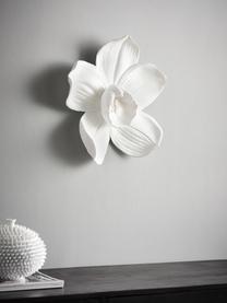 Wandobjekt Orchid in verschiedene Größen, Polyresin, Weiß, B 40 x H 44 cm