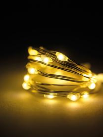 Guirlande lumineuse LED Wiry, 195 cm, Plastique, métal, Transparent, L 195 cm