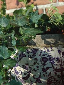 Grote wandplantenpot Cerino, Keramiek, Lila, wit, B 28 cm x H 18 cm