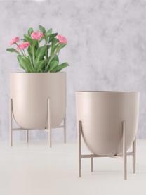 Übertopf-Set Kilana aus Metall, 2-tlg., Metall, beschichtet, Beige, Set in verschiedenen Größen