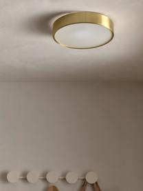 Lampa sufitowa Dante, Odcienie złotego, Ø 40 x W 7 cm