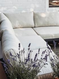 Tuin loungeset Elias, 4-delig, Frame: gepoedercoat en corrosieb, Plateaus: kunststof in hout-optiek, Antraciet, hout, beige, B 246 x D 246 cm
