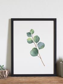 Lámina decorativa Eucalyptus II, Verde, blanco, negro, An 33 x Al 43 cm