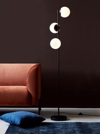 Stehlampe Lilly aus Opalglas, Lampenfuß: Metall, beschichtet, Schwarz, Weiß, H 150 cm