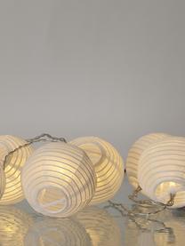 Ghirlanda a LED Festival, 300 cm, Bianco, Lung. 300 cm, 10 lanterne
