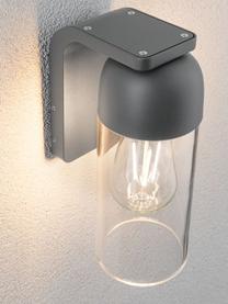 Außenwandleuchte Lantea mit Glasschirm, Lampenschirm: Glas, Transparent, Grau, B 9 x T 14 cm