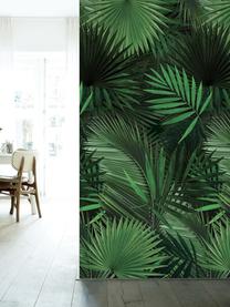 Papier peint Palm Leaves, Intissé, écologique et biodégradable, Vert, larg. 98 x long. 280 cm