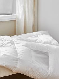 Daunen-Bettdecke Clima Balance, extra leicht, Hülle: Feinste Mako-Einschütte a, Extra leicht, B 135 x L 200 cm