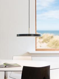 Lámpara de techo LED de diseño Asteria, Pantalla: aluminio pintado, Cable: plástico, Gris antracita, dorado, Ø 31 x Al 14 cm