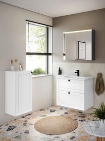 Nástěnná koupelnová skříňka Rafaella, Š 40 cm, Světle šedá, Š 40 cm, V 85 cm