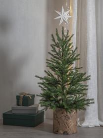 Cime de sapin de Noël Star Isa, haut. 33 cm, Papier, métal, Blanc cassé, larg. 21 x haut. 33 cm