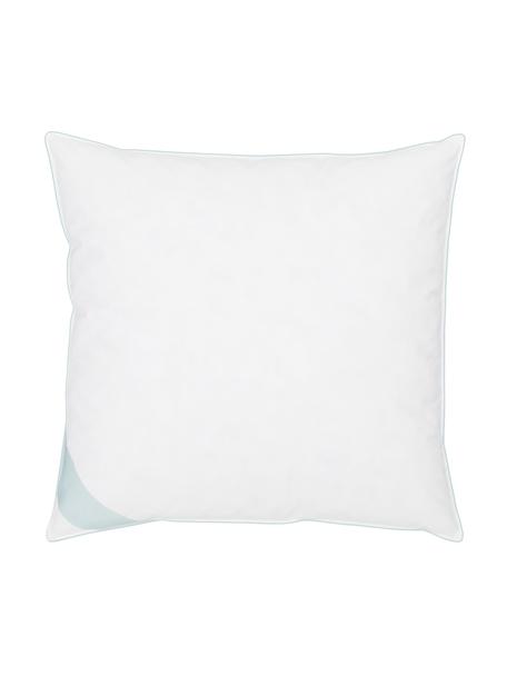 Cuscino medio Comfort, Bianco con fascia di stoffa in raso turchese, Larg. 80 x Lung. 80 cm
