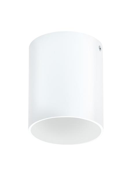 LED plafondspot Marty in wit, Lampenkap: gepoedercoat metaal, Mat wit, Ø 10 x H 12 cm