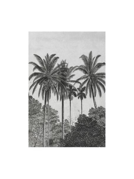 Carta da parati Palms, Tessuto non tessuto, Grigio, nero, bianco, Larg. 200 x Alt. 300 cm