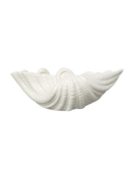 Schale Shell aus Dolomit in Weiß, B 24 cm, Dolomit, Weiß, B 23 x H 8 cm