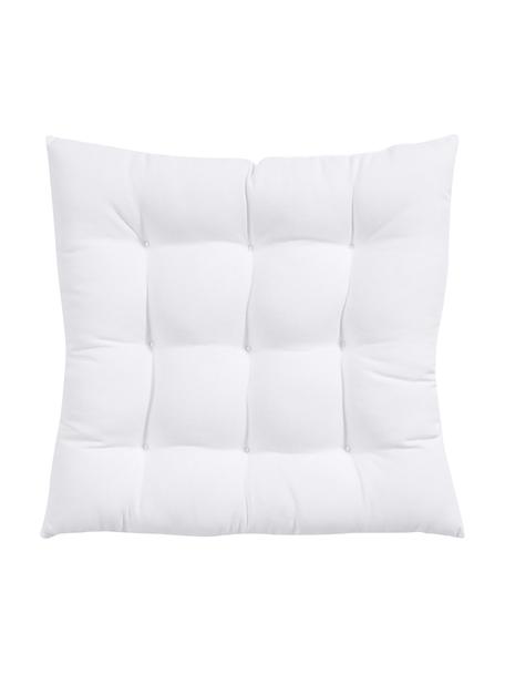 Cuscino sedia Ava 2 pz, Rivestimento: 100% cotone, Bianco, Larg. 40 x Lung. 40 cm