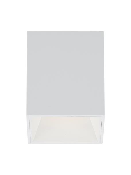 LED plafondspot Marty in wit, Lampenkap: gepoedercoat metaal, Mat wit, B 10 x H 12 cm