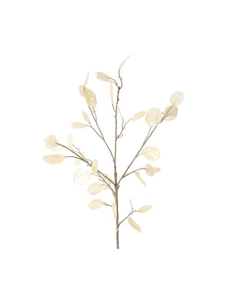 Branche décorative Laluna, Plastique, Brun, larg. 15 x haut. 91 cm