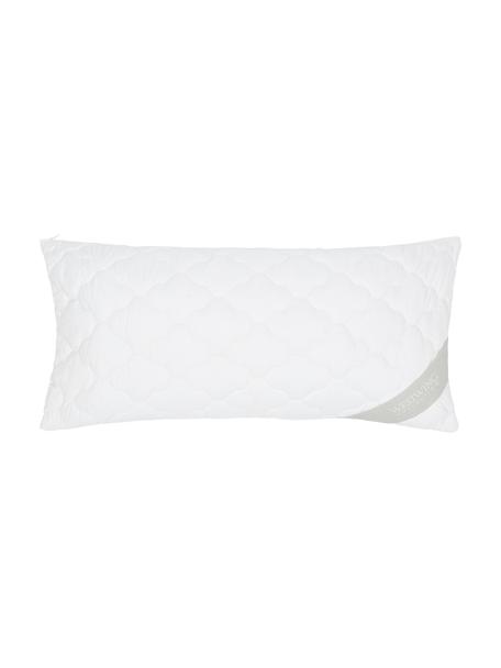 Wegańska poduszka z kapoka i bawełny, miękka, Biały, S 40 x D 80 cm