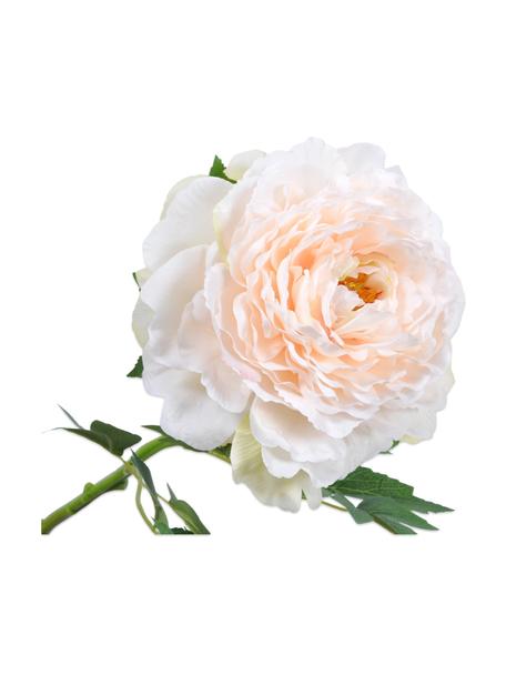 Kunstblume Pfingstrose, Weiß/Rosa, Kunststoff, Metalldraht, Weiß, Rosa, L 61 cm