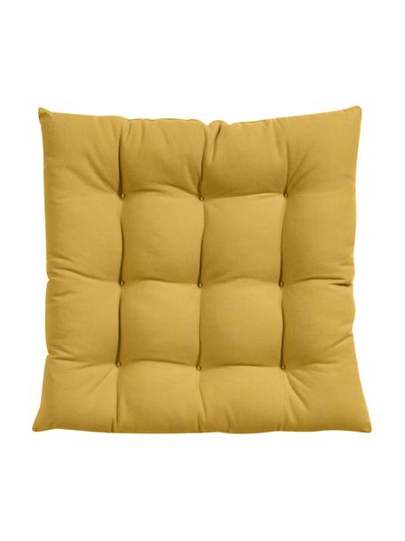Cojines de asiento Ava, 2 uds., Funda: 100% algodón, Mostaza, An 40 x L 40 cm