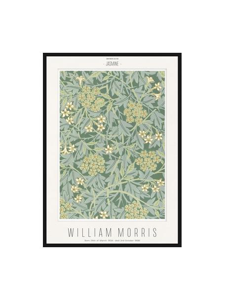 Stampa digitale incorniciata Jasmine - William Morris, Immagine: stampa digitale su carta, Struttura: legno, pannello di fibra , Verde, giallo, nero, Larg. 52 x Alt. 72 cm