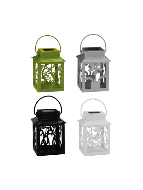 Solar Außenleuchten Garden-Lantern, 4-tlg., Leuchte: Metall, beschichtet, Mehrfarbig, B 8 cm x H 13 cm