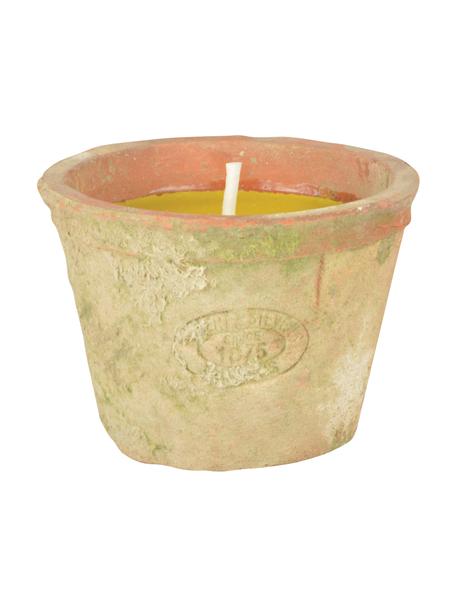 Vela anti-mosquitos Alan, Recipiente: terracota, Amarillo, Ø 9 x Al 7 cm