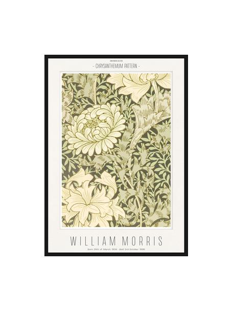 Oprawiony druk cyfrowy Chrysantemum, William Morris, Beżowy, zielony, S 52 x W 72 cm