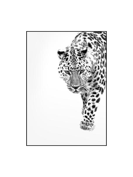 Gerahmter Digitaldruck White Leopard, Bild: Digitaldruck auf Papier (, Rahmen: Hochdichte Holzfaserplatt, Schwarz, Weiß, B 30 x H 40 cm