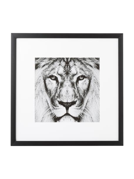 Impression numérique encadrée Lion Close Up, Noir, blanc, larg. 40 x haut. 40 cm