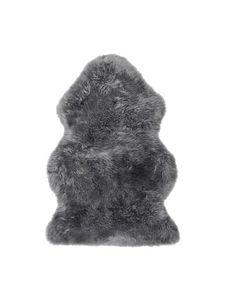 Schaffell Oslo, glatt, Flor: 100% Schaffell, Dunkelgrau, B 60 x L 90 cm