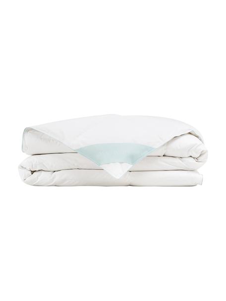 Kołdra puchowa Comfort, lekka, Lekka, S 200 x D 200 cm