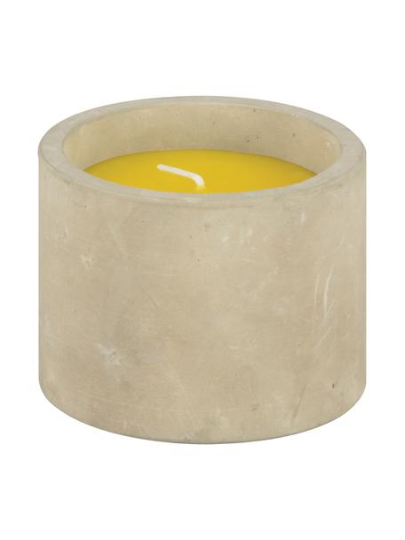 Candela antizanzare Alan, Contenitore: cemento, Giallo, Ø 9 x Alt. 7 cm