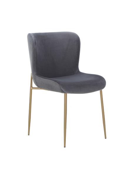 Fluwelen stoel Tess in donkergrijs, Bekleding: fluweel (polyester), Poten: gepoedercoat metaal, Fluweel donkergrijs, goudkleurig, B 49 x D 64 cm