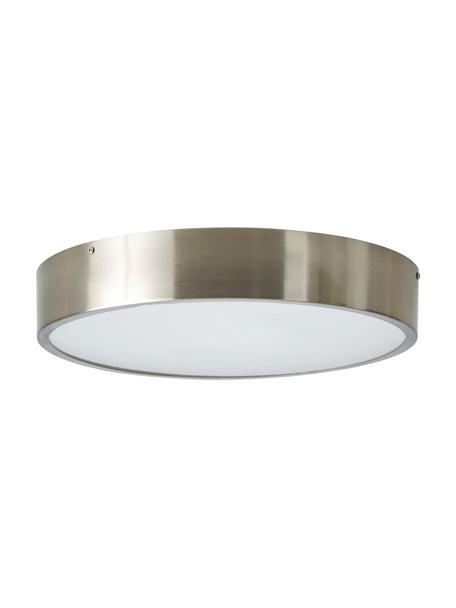 Plafondlamp Dante in zilverkleur, Diffuser: glas, Zilverkleurig, Ø 40 cm x H 7 cm