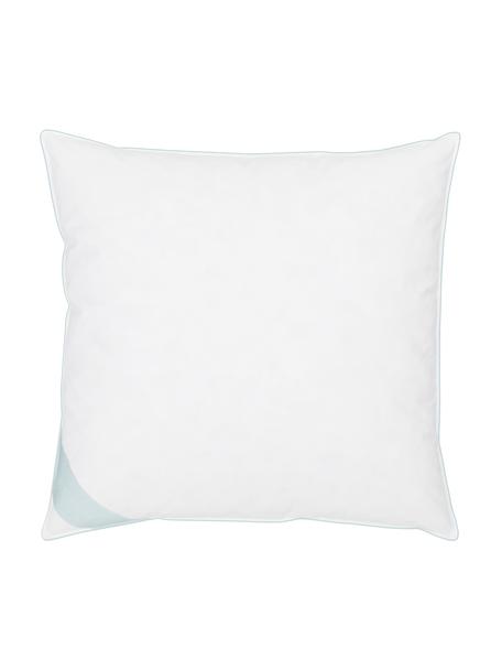 Cuscino medio con piuma d'oca Premium, Bianco con fascia di stoffa in raso turchese, Larg. 80 x Lung. 80 cm