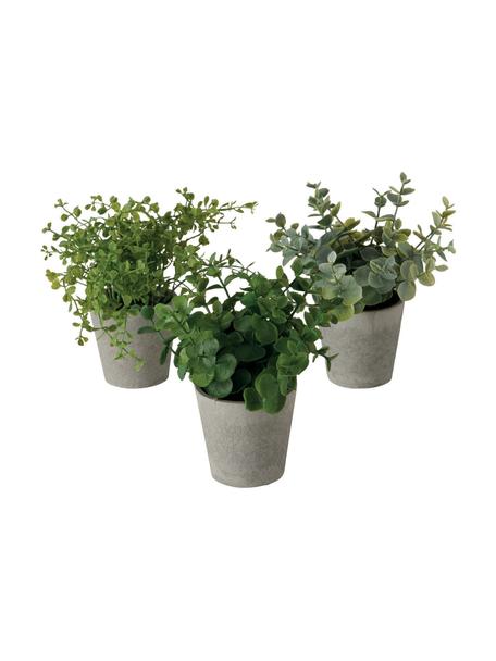 Plante artificielle en pot Timothy, 3 élém., Plastique, Vert, gris, Ø 16 x haut. 18 cm