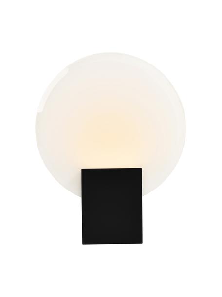 Dimmbare LED-Wandleuchte Hester, Lampenschirm: Glas, Schwarz, Weiß, B 20 x H 26 cm