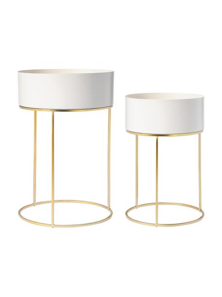 Cache-pots ronds avec support en métal Palesa, 2 élém., Métal, revêtement par poudre, Blanc crème, or, Lot de différentes tailles