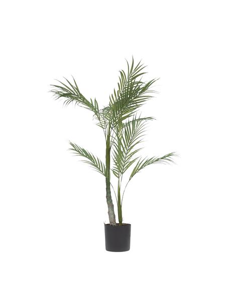 Kunstpflanze Palme im Übertopf, Kunststoff, Grün, Schwarz, H 84 cm