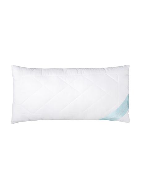 Microfaser-Kopfkissen, weich, Bezug: Microfaser mit Rautenstep, Weich, B 40 x L 80 cm