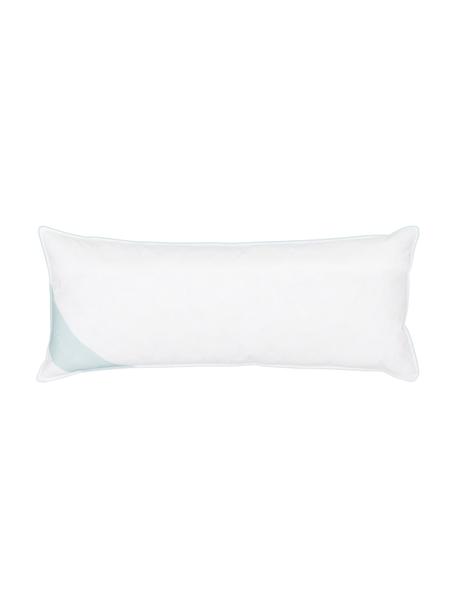 Almohada de plumas Comfort, media, Blanco con ribete turquesa satinado, An 45 x L 110 cm