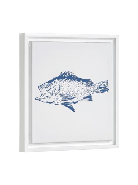 Ingelijste digitale print Lavinia Fish, Lijst: gecoat MDF, Afbeelding: canvas, Wit, blauw, 30 x 30 cm