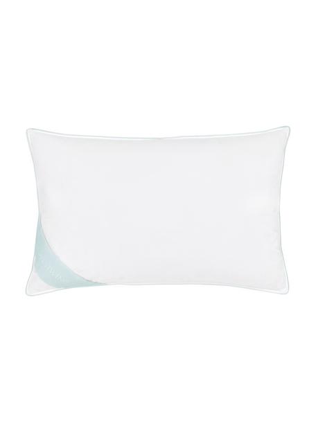 Cuscino in piuma Comfort, morbido, Bianco, Larg. 50 x Lung. 80 cm