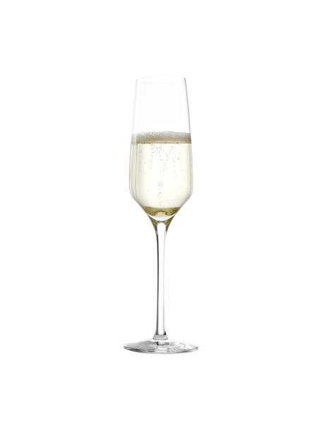 Kieliszek do szampana ze szkła kryształowego Experience, 6 szt., Szkło kryształowe, Transparentny, Ø 6 x W 22 cm, 190 ml