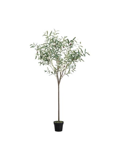 Handgefertigter Kunstbaum Olive, H 172 cm, Kunststoff, Grün, Ø 100 x H 170 cm