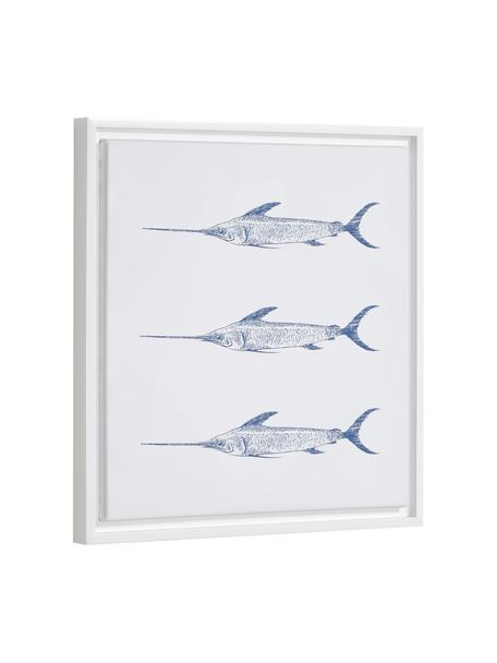Ingelijste digitale print Lavinia Swordfish, Lijst: gecoat MDF, Afbeelding: canvas, Wit, blauw, 30 x 40 cm