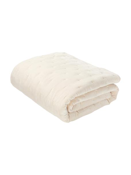 Colcha de terciopelo acolchada Cheryl, Parte superior: terciopelo de algodón, Reverso:  algodón, Beige, An 240 x L 250 cm (para camas de 200 x 200 cm)