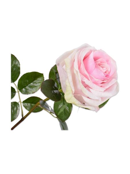 Flores artificiales Rosen, 2 uds., Plástico, alambre de metal, Blanco, rosa, L 68 cm